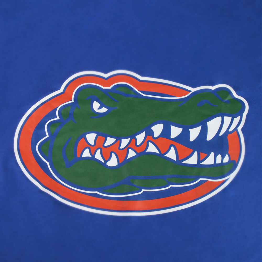 Lyle Lyle Crocodile Lyle T-Shirt with Scarf Vikidoky