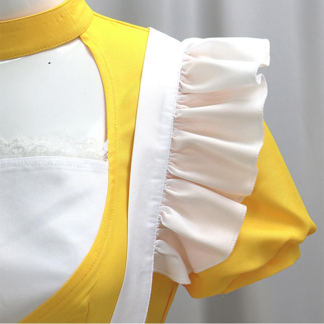 Chica the Chicken Cosplay Costume Maid Dress