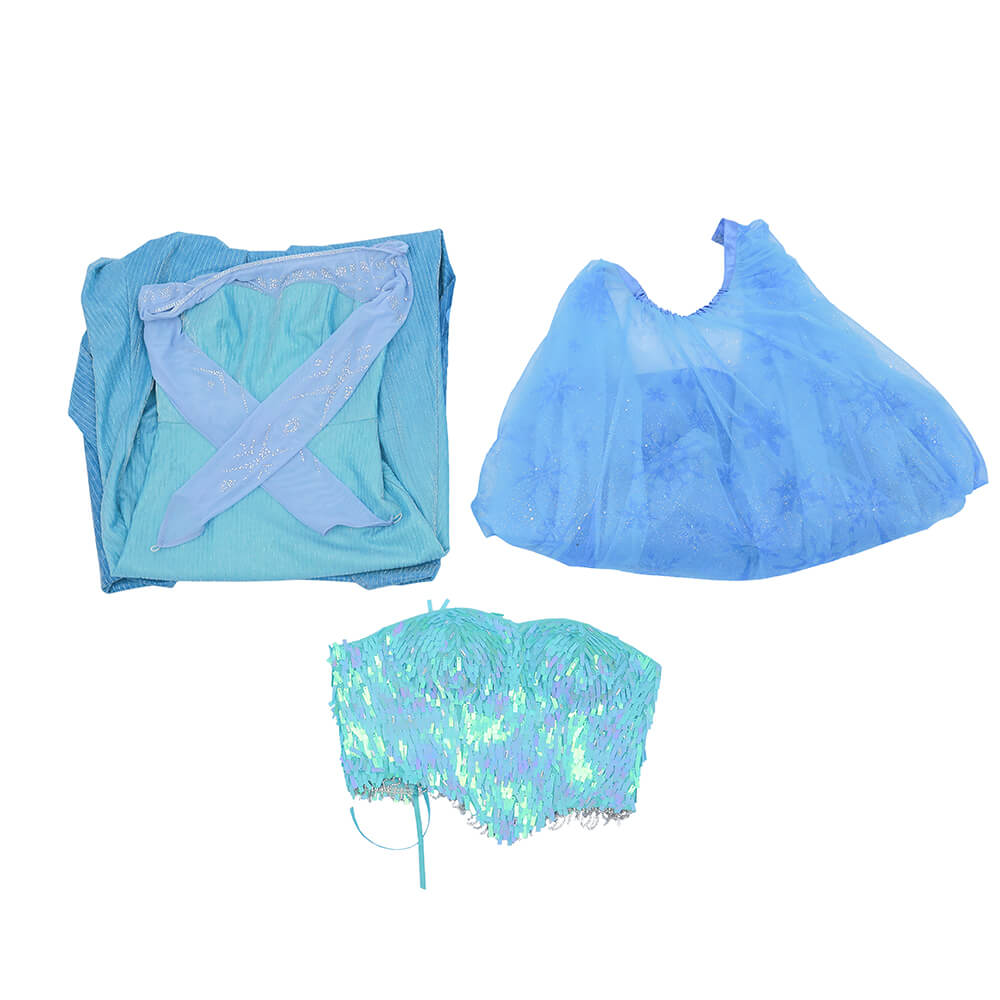 Frozen Elsa Snow Queen Dress Cosplay Costume