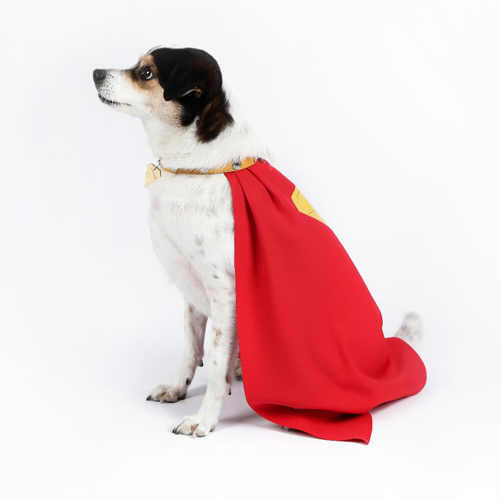 Krypto the Superdog Cape Cosplay Costume Dog Pet Puppy Halloween Suit Vikidoky