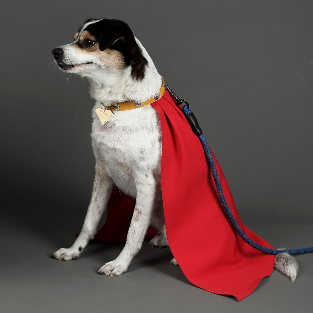 Krypto the Superdog Cape Cosplay Costume Dog Pet Puppy Halloween Suit Vikidoky