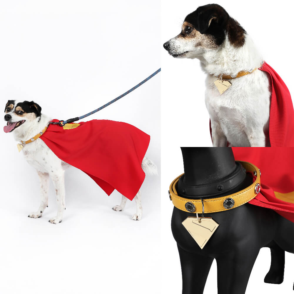 Krypto the Superdog Cape Cosplay Costume Dog Pet Puppy Halloween Suit Vikidoky