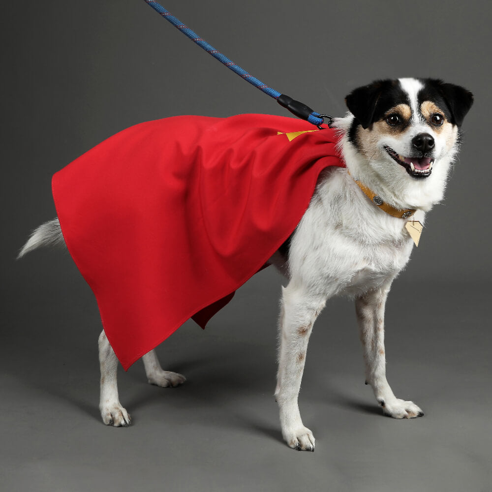 Krypto the Superdog Cape Cosplay Costume Dog Pet Puppy Halloween Suit Vikidoky