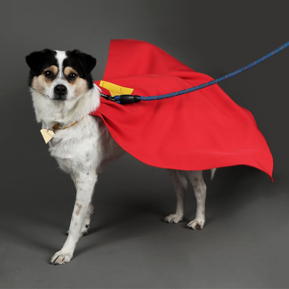 Krypto the Superdog Cape Cosplay Costume Dog Pet Puppy Halloween Suit Vikidoky