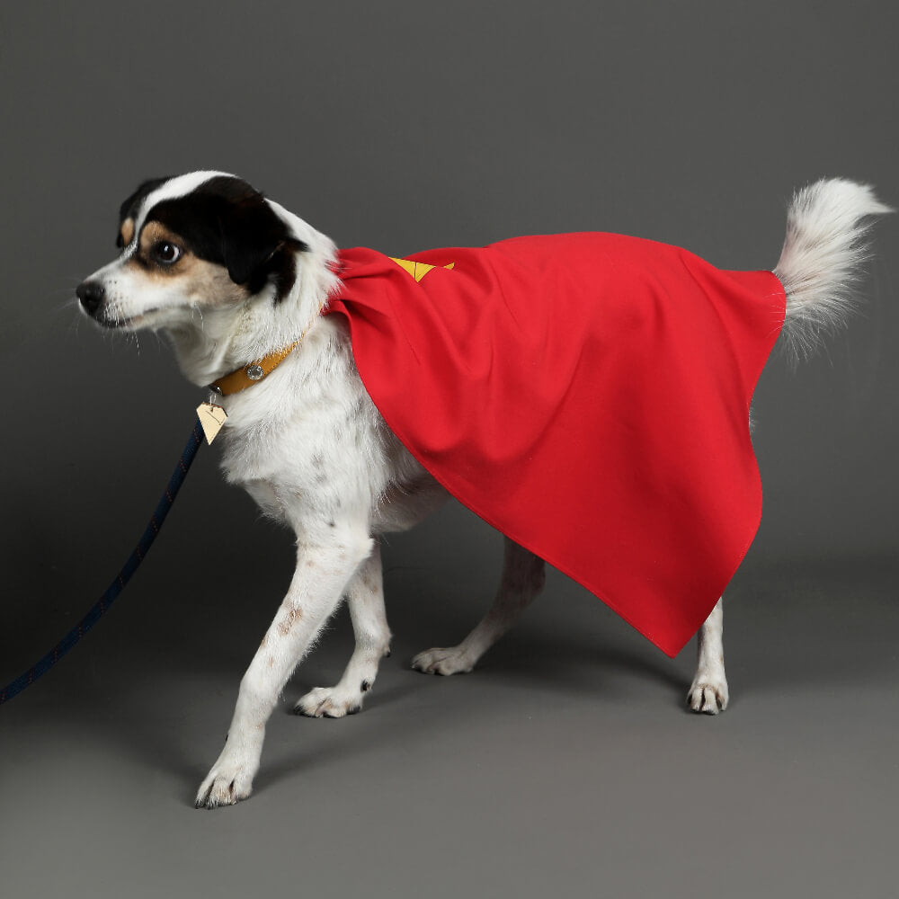 Krypto the Superdog Cape Cosplay Costume Dog Pet Puppy Halloween Suit Vikidoky