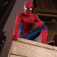 Spider-Man: Brand New Day Peter Parker Cosplay Costume Top Level