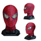 The Amazing Spider-Man 1 Peter Parker Cosplay Mask